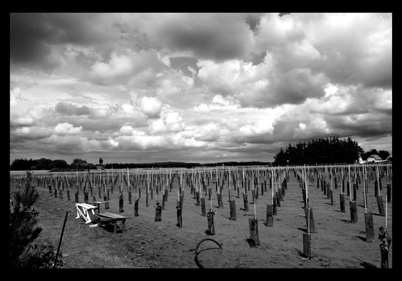 Clouds over field