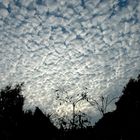 Clouds over Wedde.