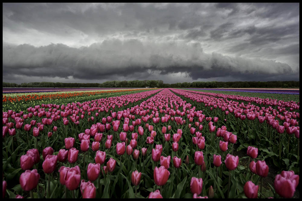 Clouds rolling in