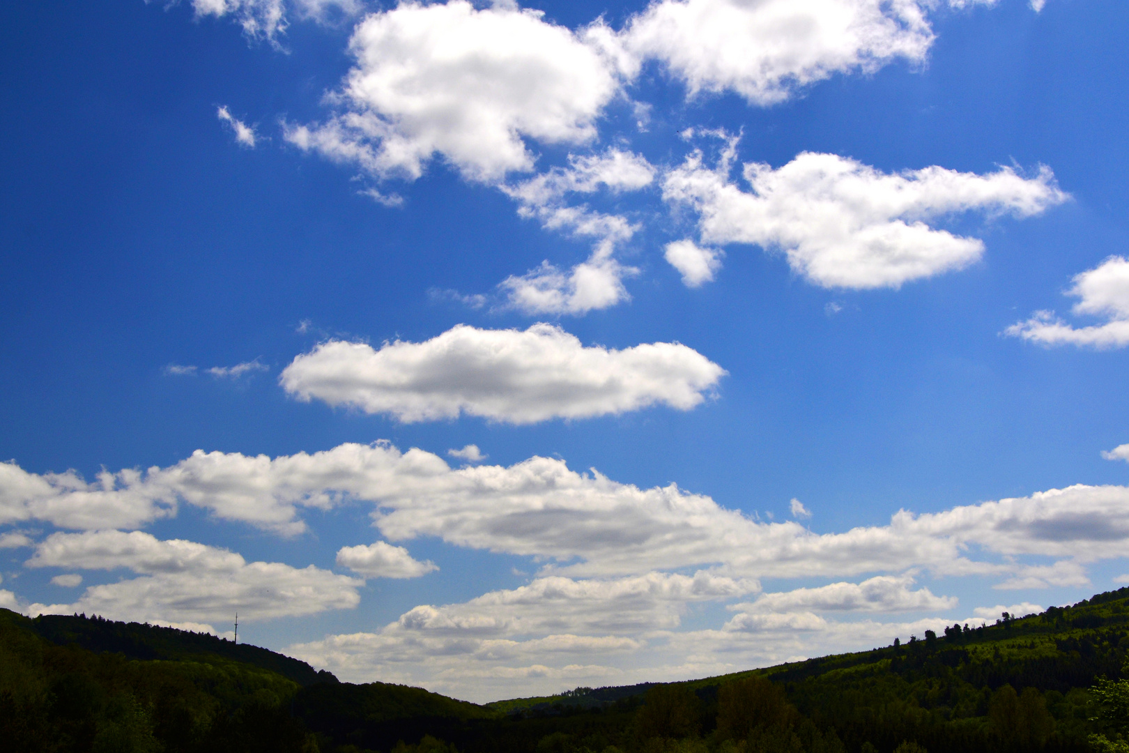 Clouds Trees Summer