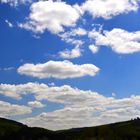 Clouds Trees Summer