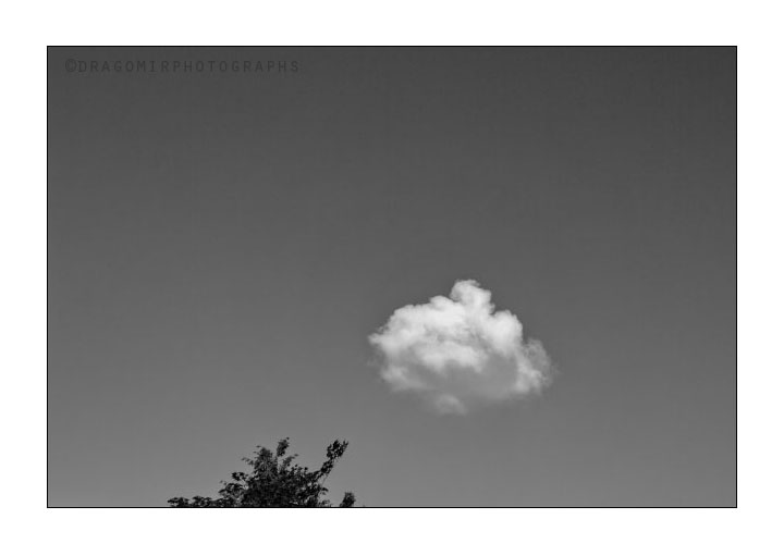 Cloud&Tree