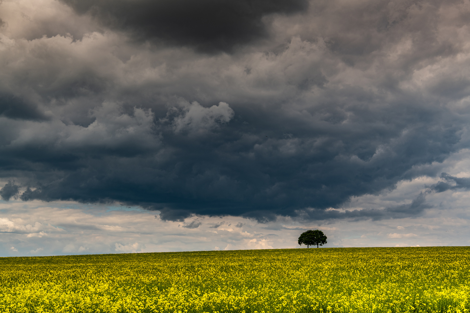 Cloudy afternoon