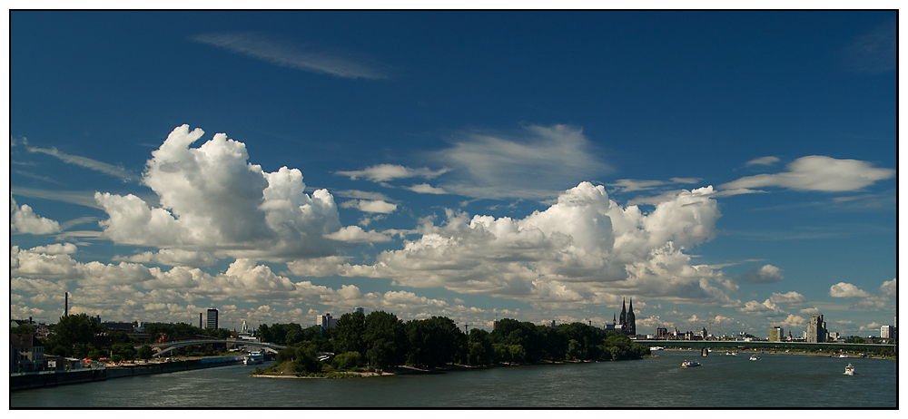 cloudy cologne