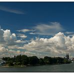 cloudy cologne