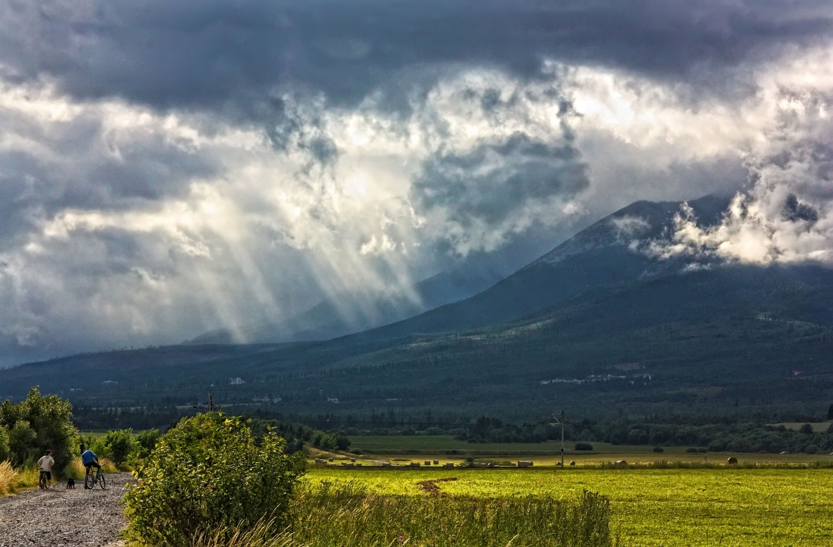 Cloudy Day