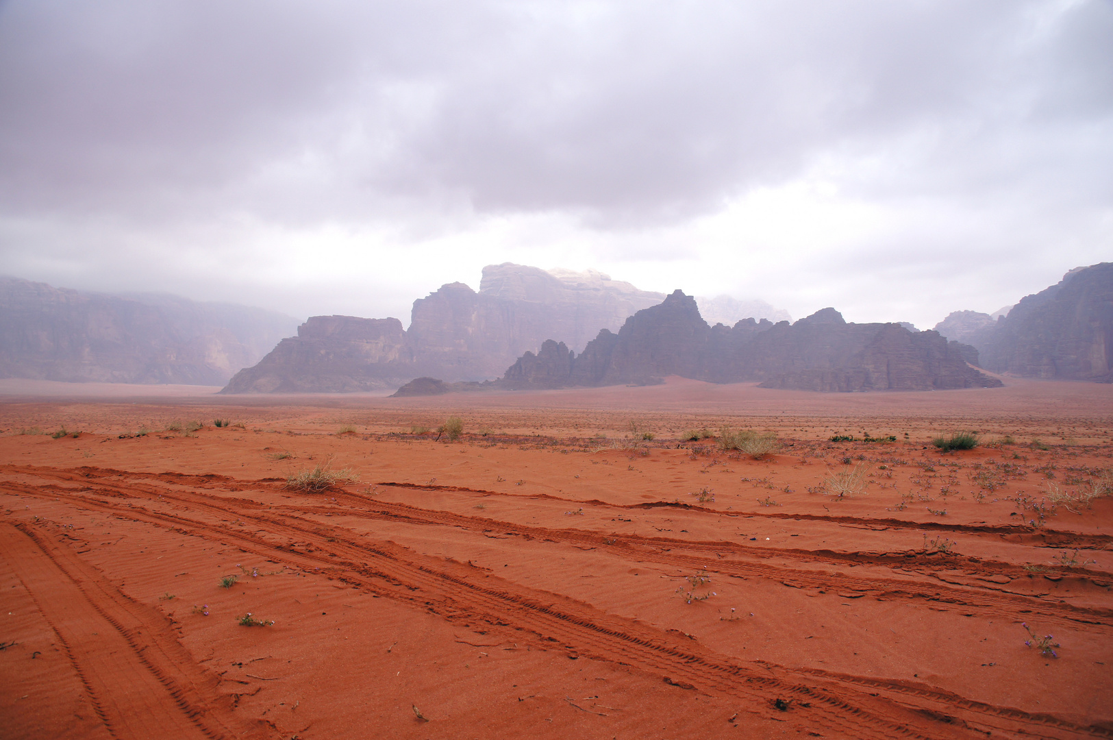 Cloudy desert