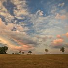 Cloudy evening