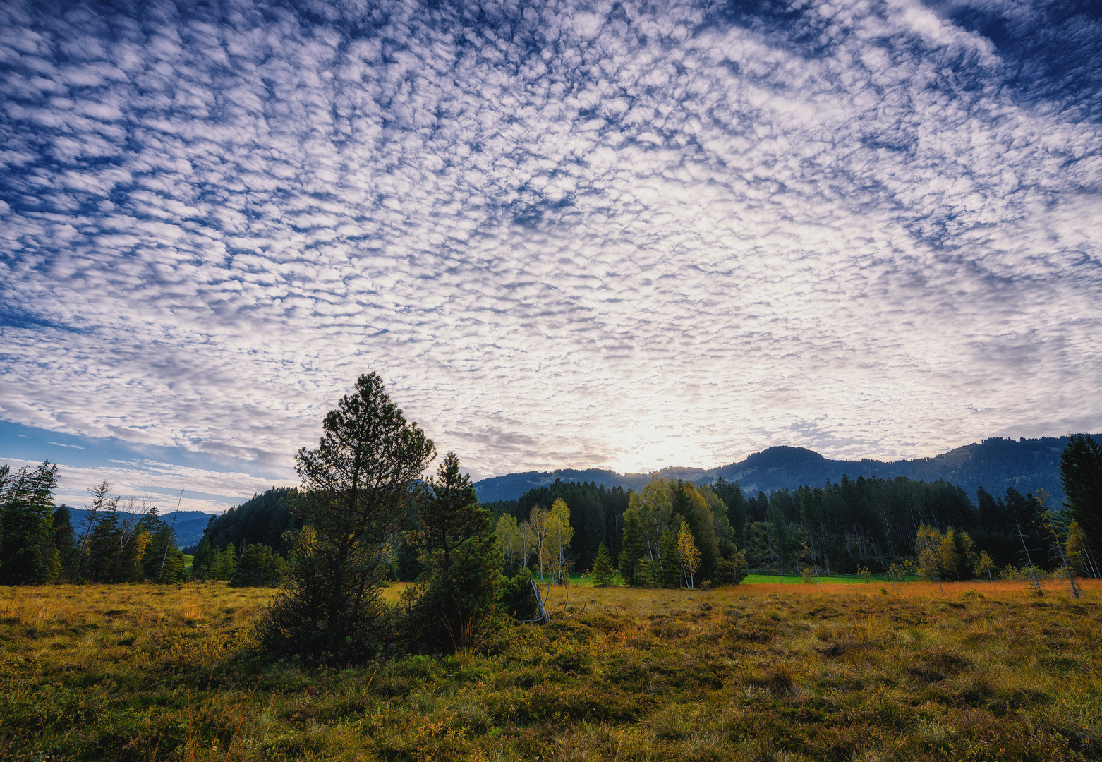 Cloudy Formation