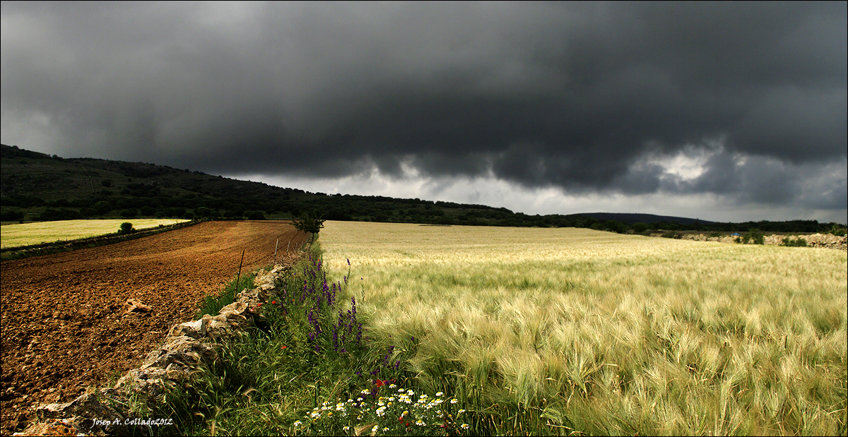 Cloudy Landscape