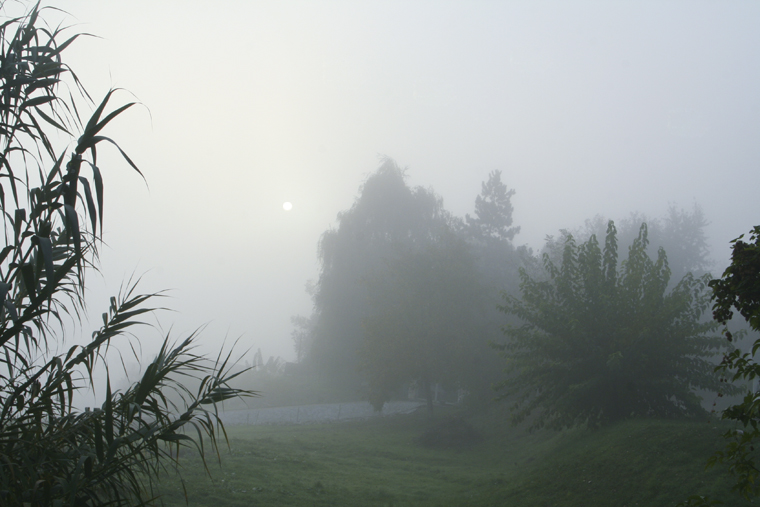 Cloudy morning