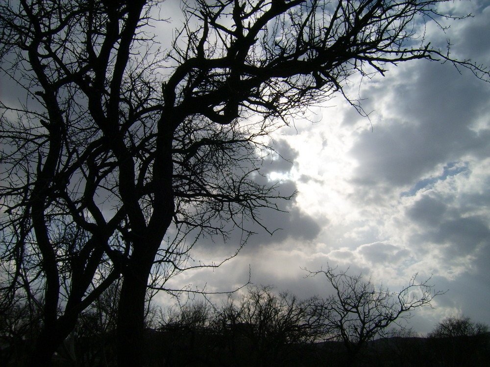 cloudy nature