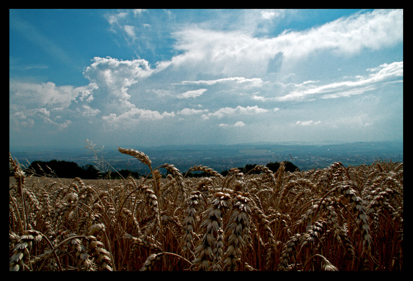 Cloudy Sky