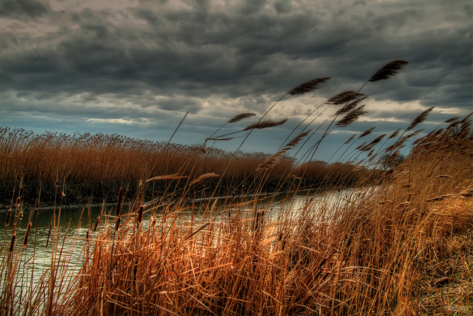 Cloudy, windy day of January&#65279;