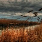 Cloudy, windy day of January&#65279;