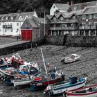 Clovely Harbour