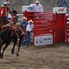 Cloverdale Rodeo