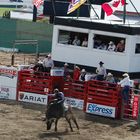 Cloverdale Rodeo bull riding