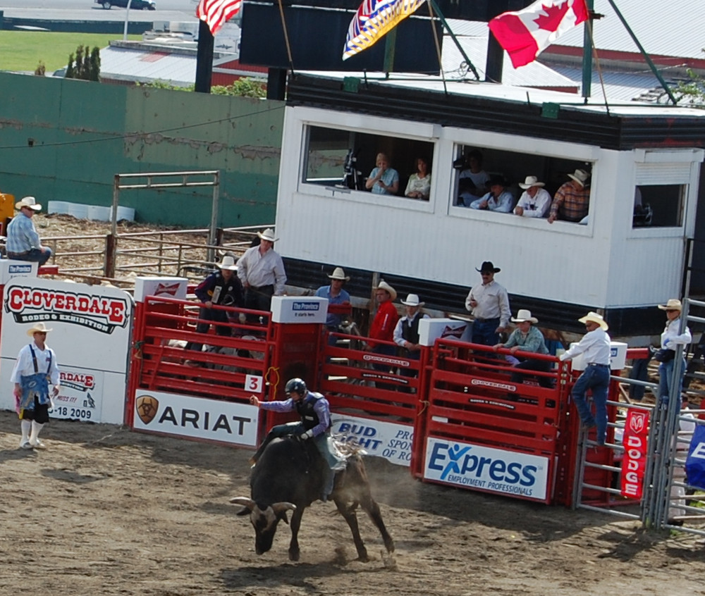 Cloverdale Rodeo bull riding
