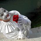 Clown mit roter Rose