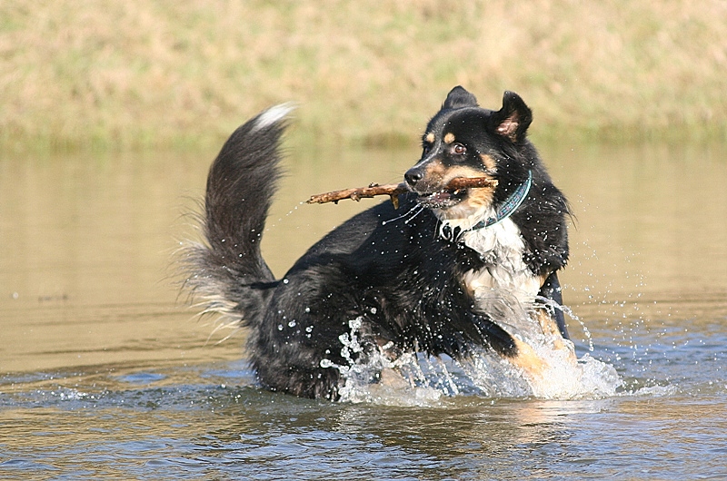 Clown von Loch Ness