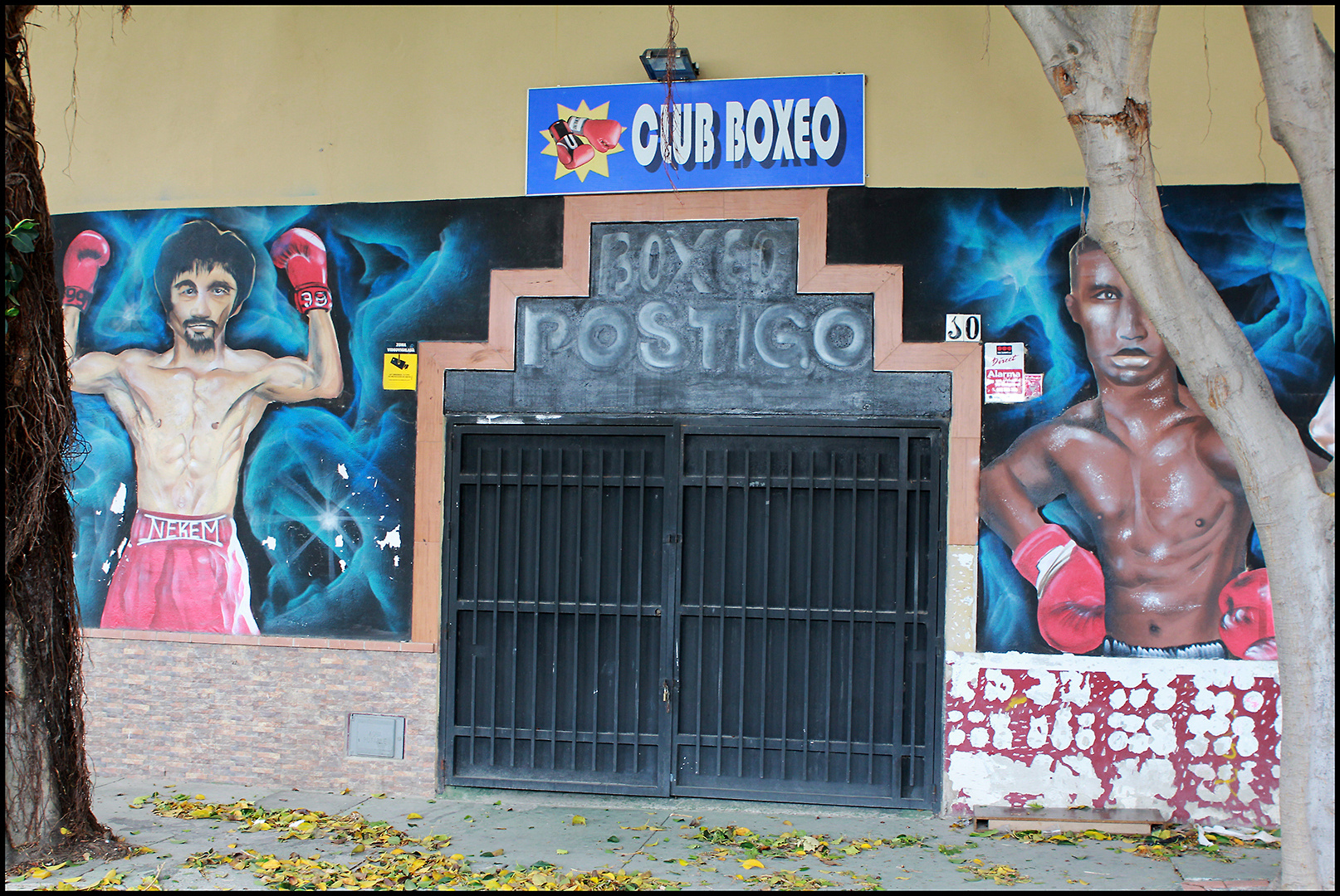 Club de Boxeo Postigo... 5