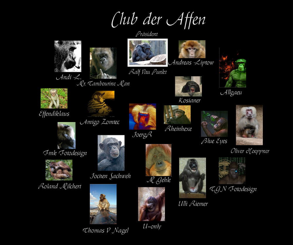 Club der Affen