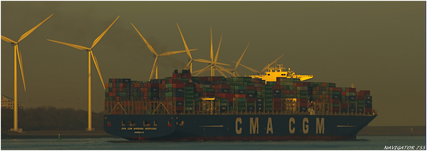 CMA CGM AMERIGO VESPUCCI / Container Vessel / Rotterdam