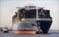 "CMA CGM AMERIGO VESPUCCI" mit Geleit