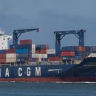 CMA  CGM  CAYENNE