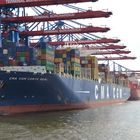 CMA CGM Corte Real & Hamburg Süd Cap San Marco