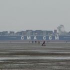 CMA CGM im Wattenmeer Cuxhaven