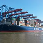 CMA CGM Vasco de Gama