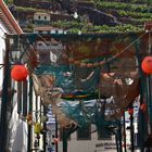 Câmara de Lobos / Madeira