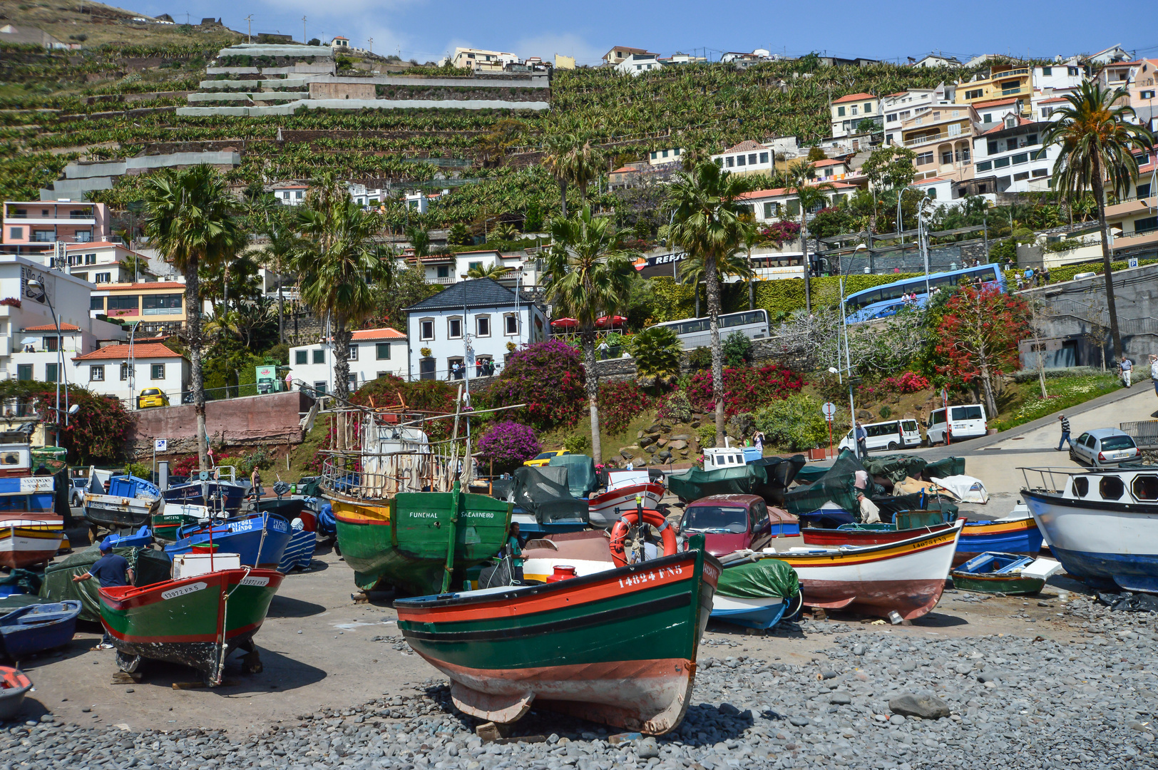 Câmara de Lobos - Madeira