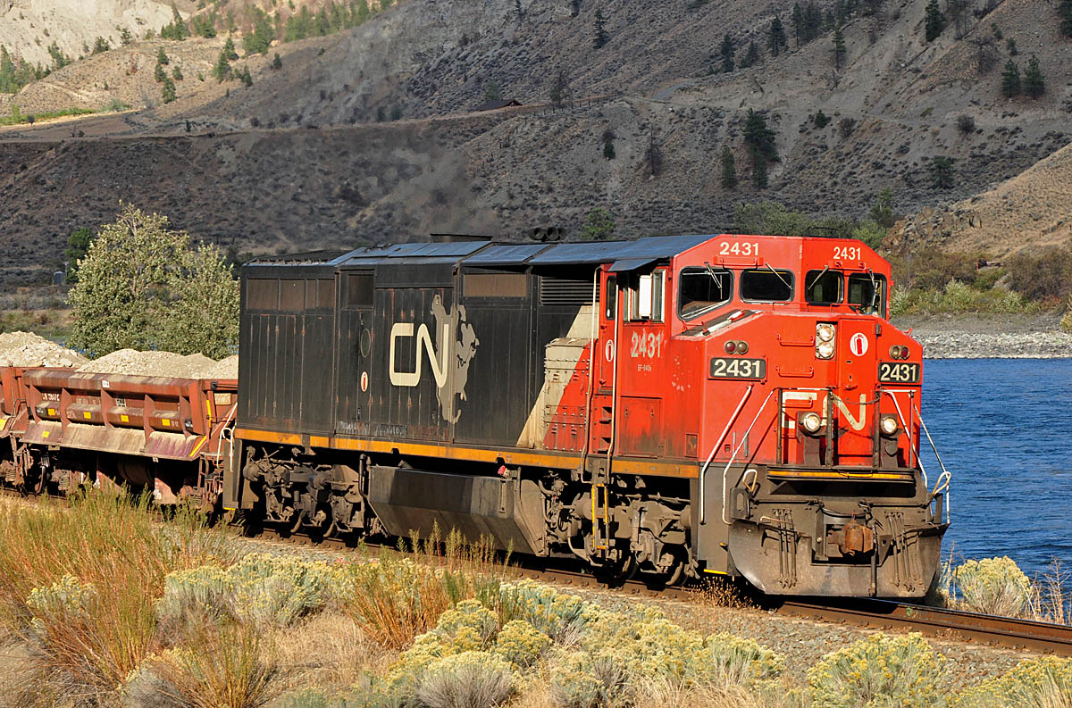 CN 2431