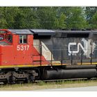 CN 5317