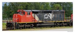 CN 5317