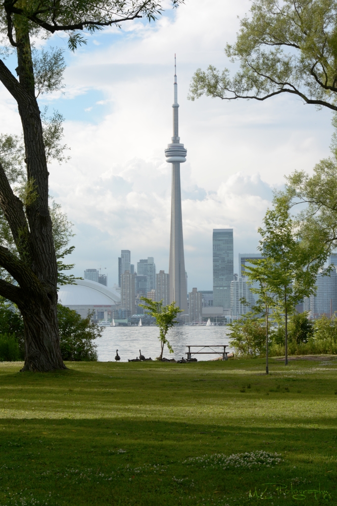 CN Tower