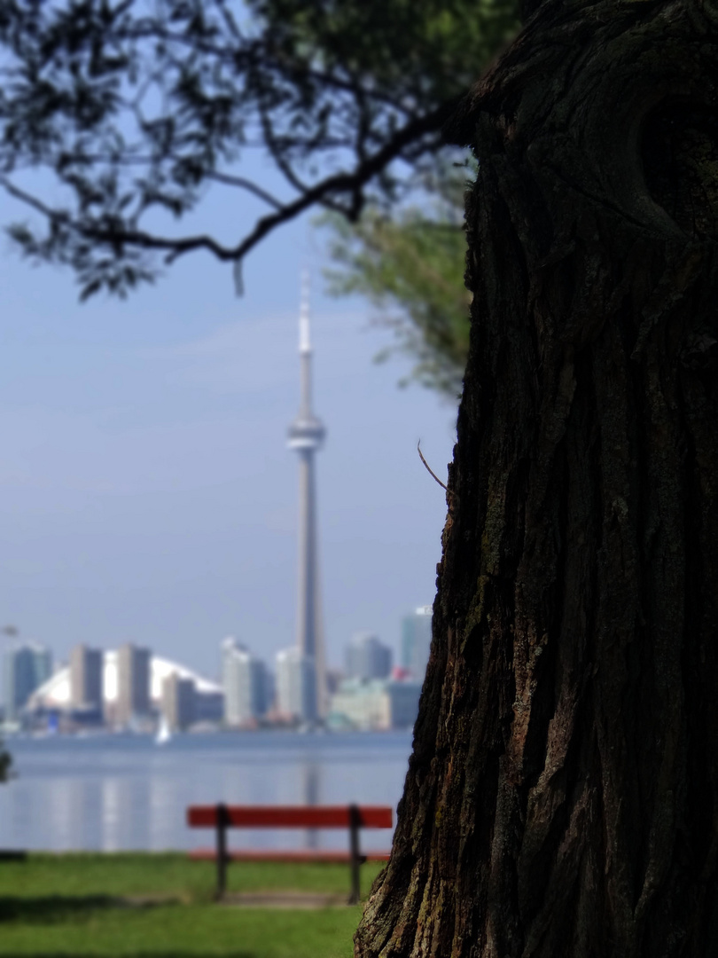 CN Tower