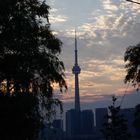 CN Tower in Toronto am Abend