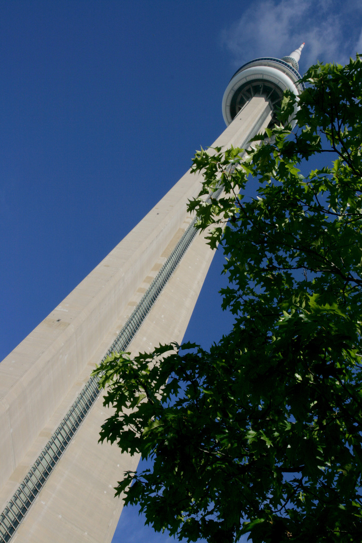 CN Tower/ Toronto