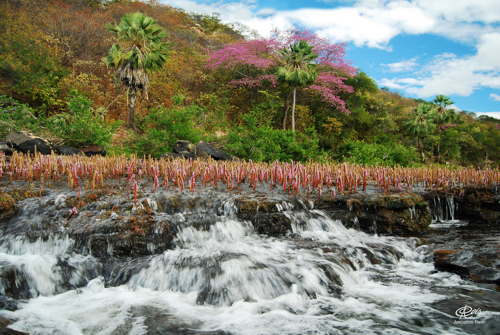 Cânyon do Rio Poty - Piauí - Brasil