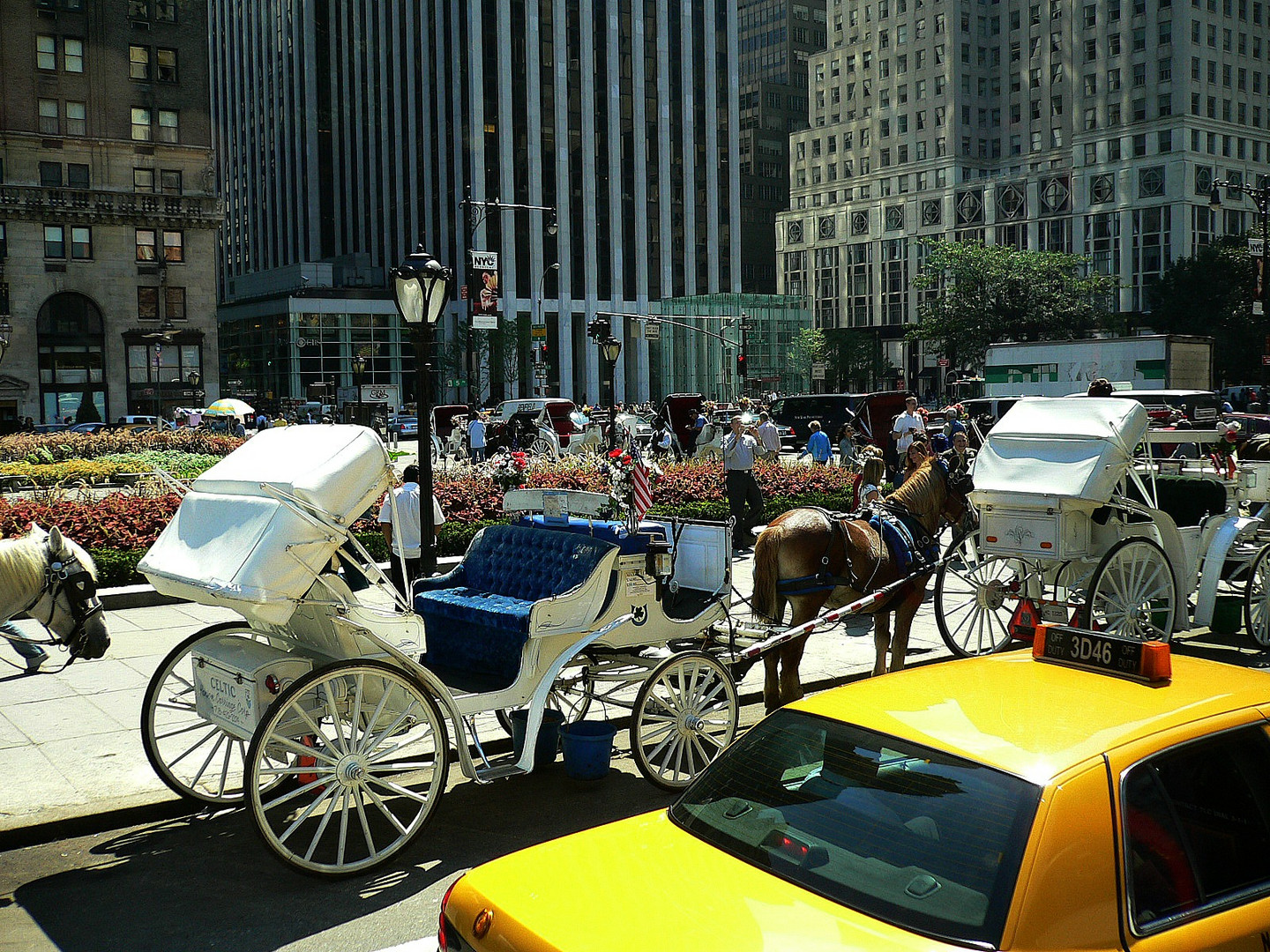 Coach ride or yellow cab.....