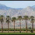 Coachella Valley