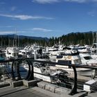 Coal Harbour