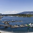 Coal Harbour