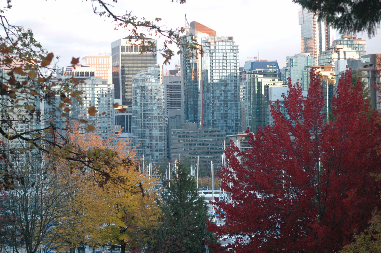 Coal Harbour Colors