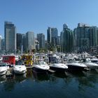 Coal Harbour