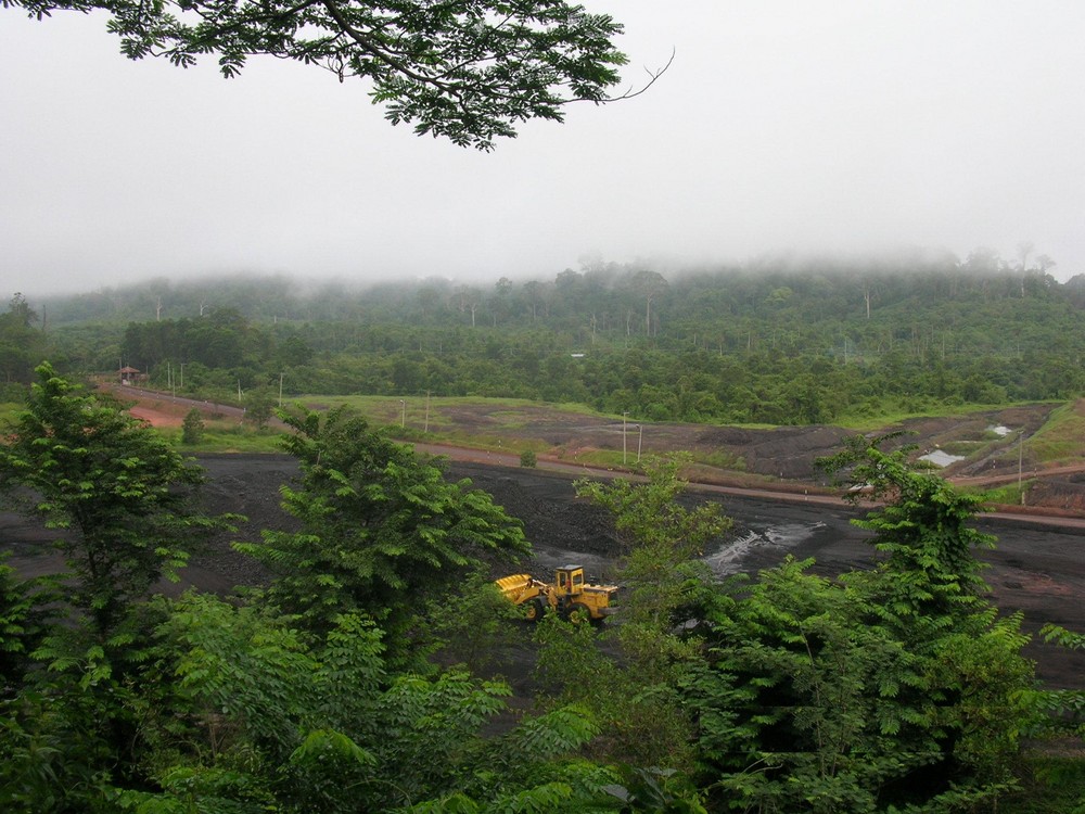 Coal in Forest and Fogs....